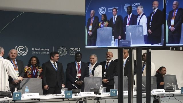 COP29: Delegates renegotiate new compensation for developing nations