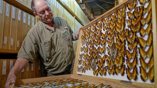 Kenya: Butterfly collector aims to protect research centre