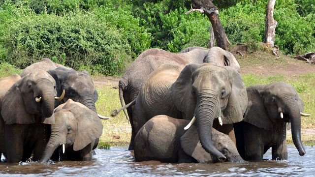 At least nine dead in Botswana floods following record rainfall