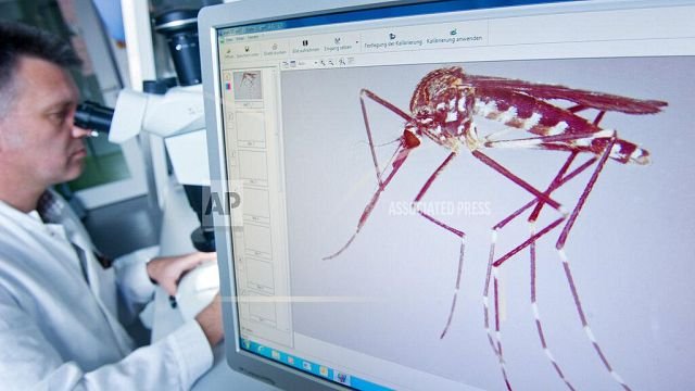 Genetic Modification of Mosquitos: A Potential Breakthrough in the Fight Against Malaria