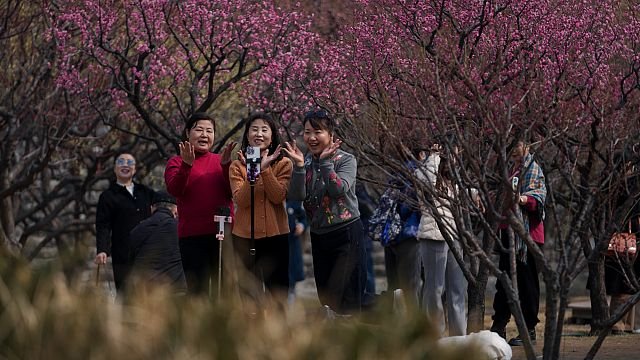 Actors, filmmakers flock to China to explore micro drama boom