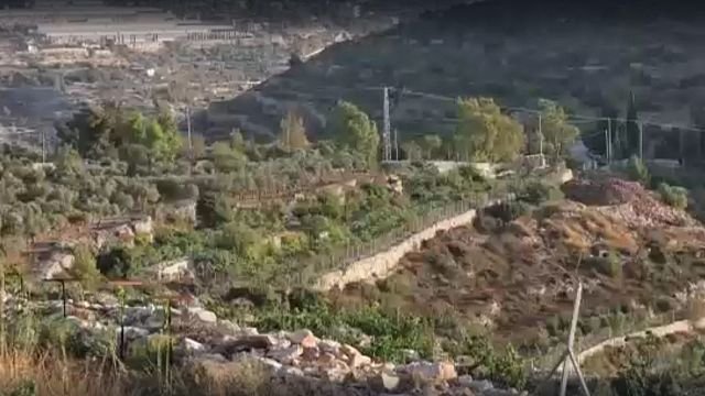 Moroccan humanitarian agency provides support for Palestinian farmers
