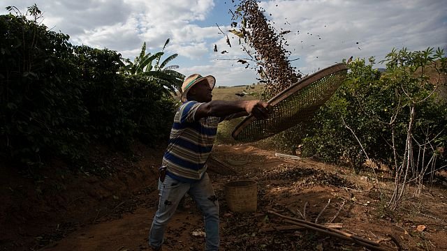 Trump’s tariffs threat leaves Brazilian coffee producers in the dark