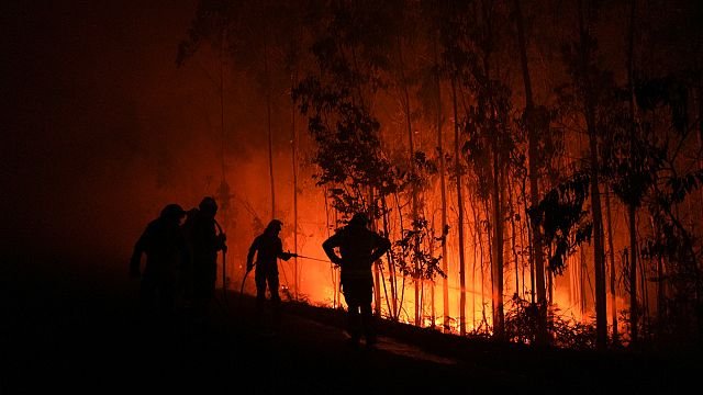 Fires in northwest Spain destroy hundreds of hectares of forest