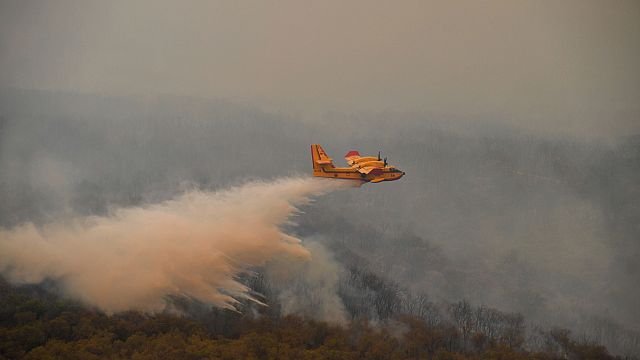 Morocco battles fierce wildfire in Amelay forest