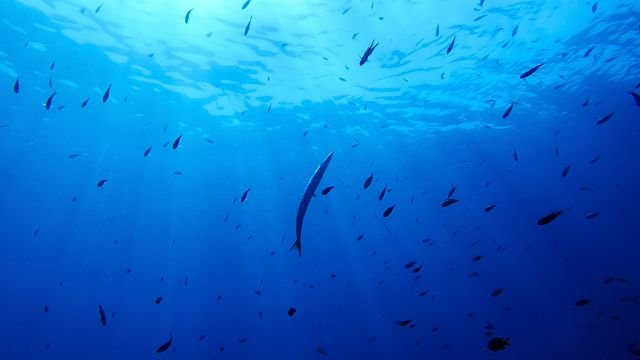 Nations ratify world’s first treaty to protect international waters