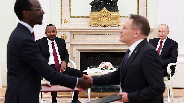 Ethiopia, Niger plan to build nuclear plants with Russia’s Rosatom