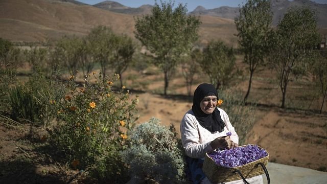 Amid drought, Moroccan florists blossom against the odds