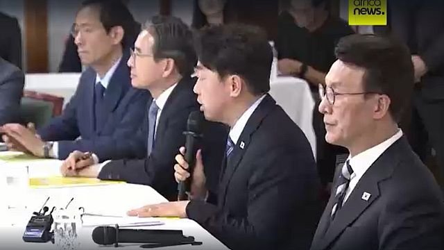 300 South Korean workers detained in US immigration raid to be returned home
