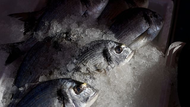 World Trade Organization fisheries agreement comes into force, curbing harmful subsidies