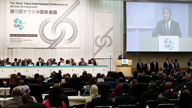 Japan cuts Africa exchange initiative amid increased immigration fears