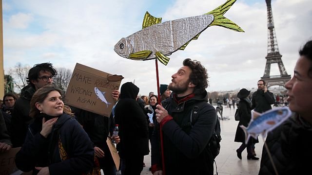 Sardine shortage hits french markets