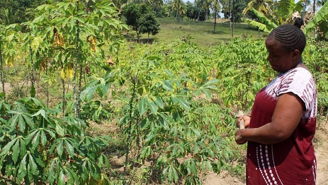 Kenya project looks at impact of climate change on women’s mental health