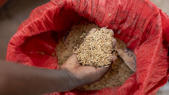 Culinary innovator Fatmata Binta appointed FAO’s Goodwill Ambassador for Africa