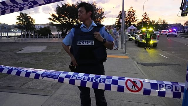 AU condemns deadly attack on Jewish community in Australia