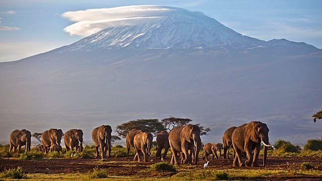Five dead in Mount Kilimanjaro helicopter crash