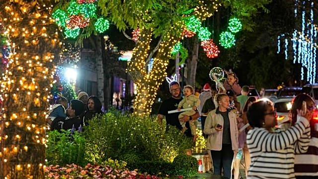 Pretoria’s Lawley Street lights up for Christmas