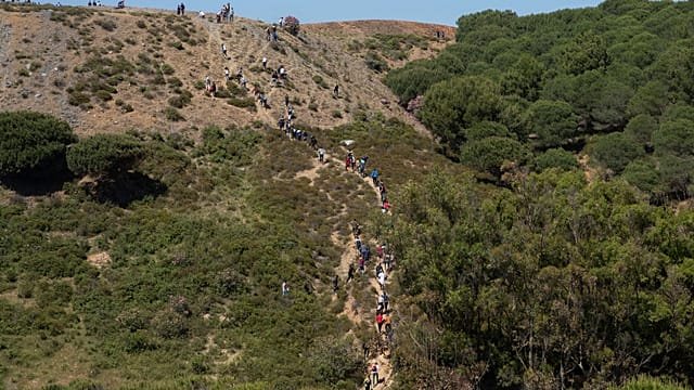 Rare bird species thrives in Morocco after succesful breeding program
