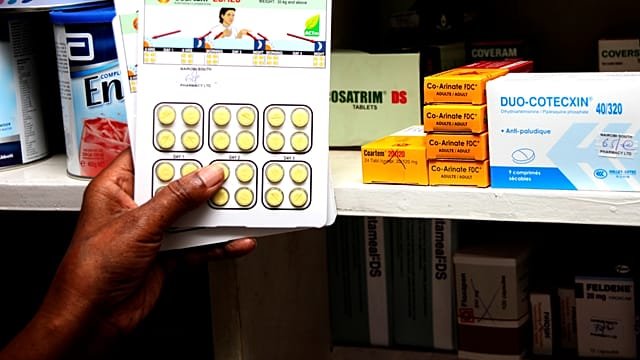 Malaria deaths, cases surged in 2024 with gains at stake – Report