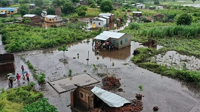 Mozambique: crocodiles appear in towns amid floods