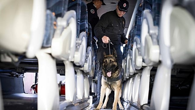 Interpol busts global human trafficking network, rescues 4,400 victims