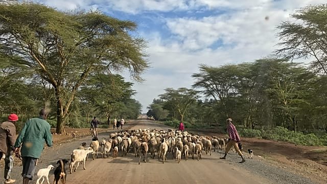 Meet the Kenyan teaching robotics to children in rural areas