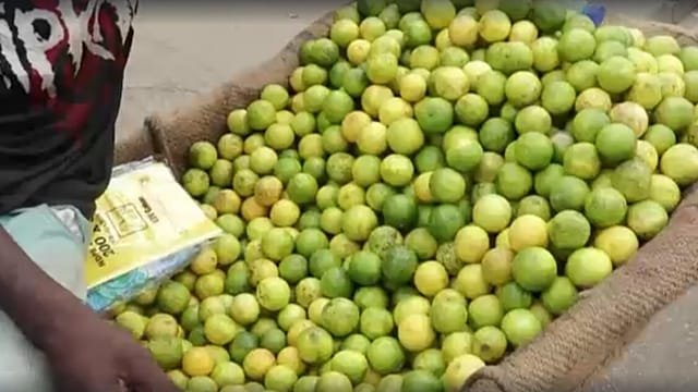 Organisation promoting Central African economic integration suspends activities