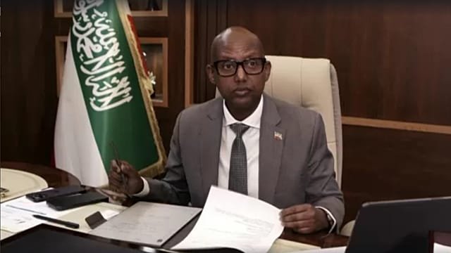 Somaliland offers US access to minerals as it pushes for recognition