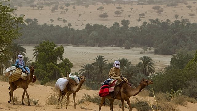 Chad: French tourist’s death “a tragic accident” according to another traveller