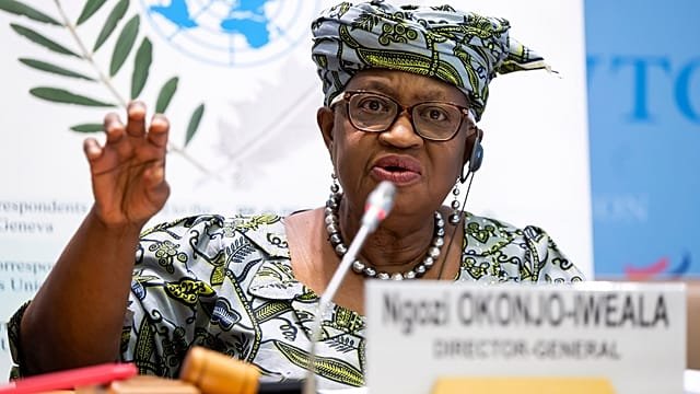 WTO members gather in Yaounde amid deep divisions and calls for reform