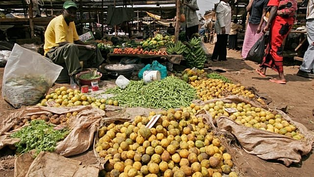 Kenya’s “wastepreneurs” turn food waste into opportunity