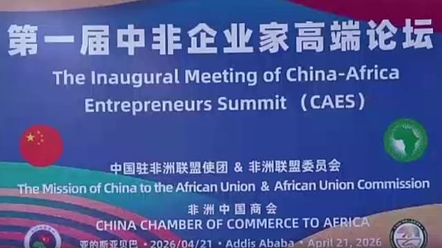 China-Africa entrepreneurs summit calls for deepened cooperation