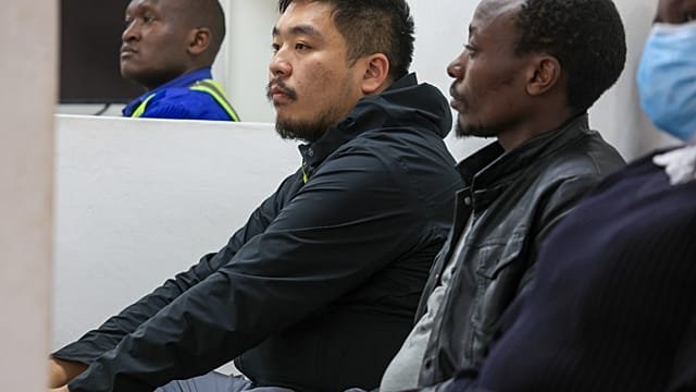 Chinese national sentenced to a year in prison for attempting to smuggle ants out of Kenya