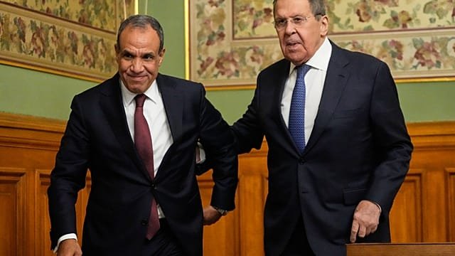 Russian and Egyptian FMs hold talks in Moscow