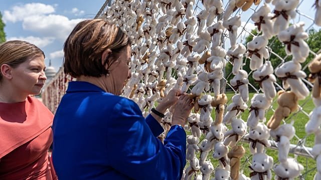 20,000 teddy bears in Washington highlight abducted Ukrainian children