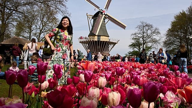 Netherlands Keukenhof draws global visitors for spring display