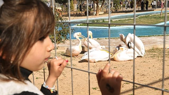 ripoli zoo reopens to offer Libyans rare respite from violence