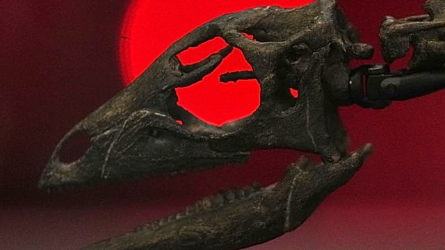 London museum unveils jurassic ocean giants