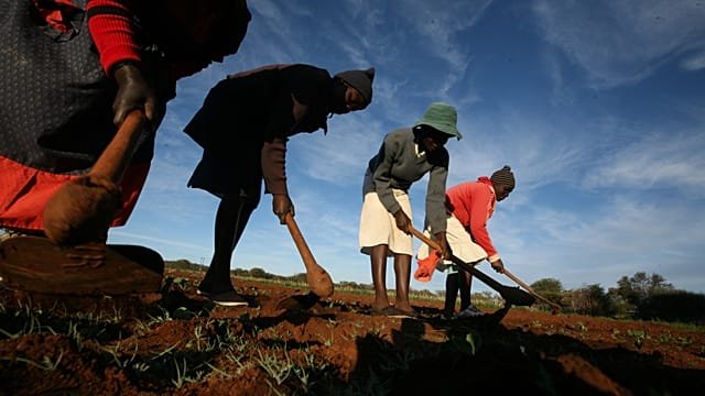 Zimbabwe to return 67 farms seized under Mugabe-era land reforms