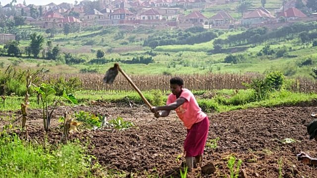 Recurring landslides in northern Rwanda destroy land and farmland