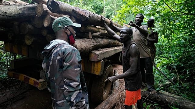 Boko Haram jihadists kill 18 loggers in Nigeria’s Borno state
