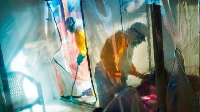 WHO declares Ebola outbreak an emergency of international concern