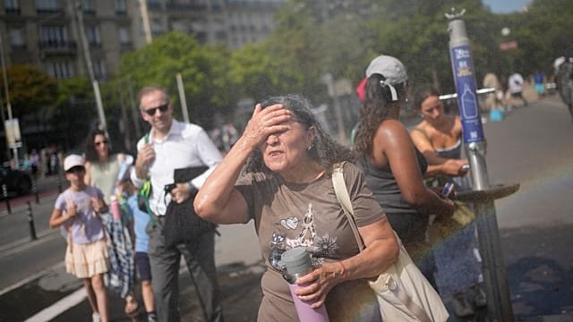 More than 1,300 excess deaths recorded in Europe heatwave: WHO