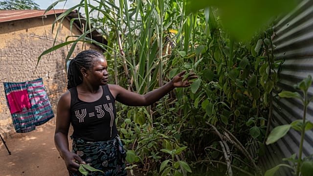 Rumors and mistrust persist over Ebola outbreak
