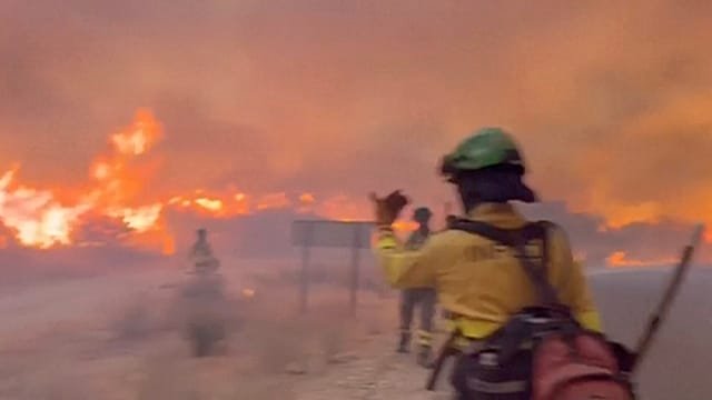 Spain wildfire near Almeria kills 11 and sparks major evacuations