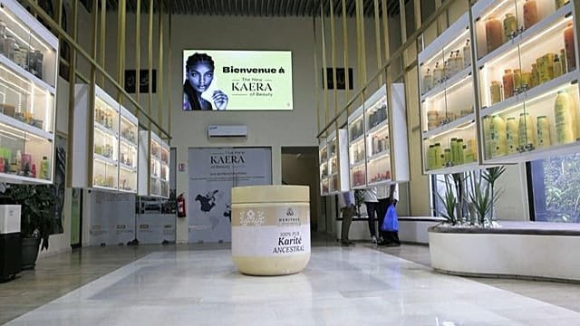 Ivory Coast looks to ‘national champion’ firms to lead economic development