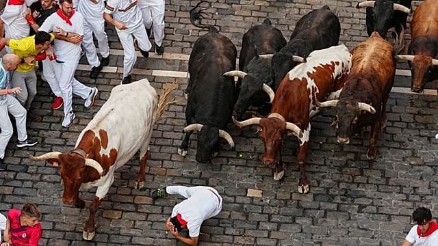 Pix of the Day, 9 July 2026