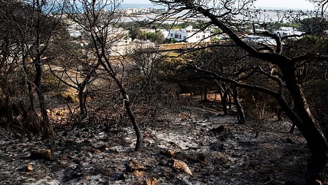 Extreme heatwave grips Tunisia as wide power cuts fuel frustration
