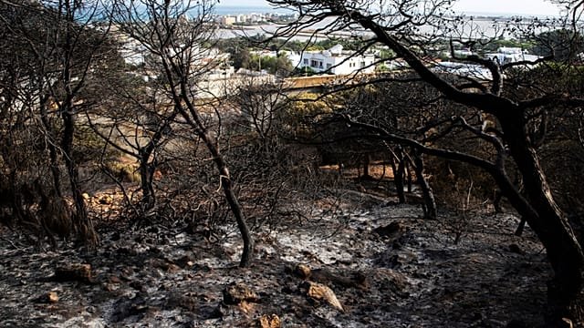 Tunisia records 900 fires in 72-hour window during intense heatwave