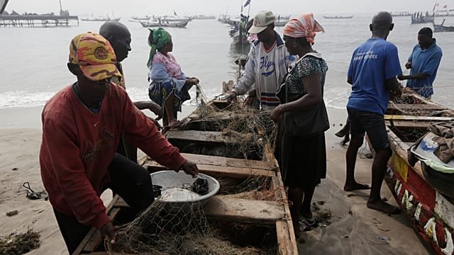 Conservationists working to protect Ghana’s endangered fish